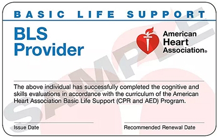 美国心脏协会基础生命支持BLS急救证书